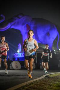 BIB: 
                            <button type="button" onclick="openModal(26531160)" class="btn btn-primary btn-sm float-right btn-popup" data-toggle="modal" data-target=".modal-high-quality">
                        <i class="fas fa-shopping-cart"></i> Add to Cart
                    </button>
                                            <button type="button" onclick="isThisMe(26531160, true)" class="btn btn-success btn-sm float-right btn-popup btn-isme hidden" data-toggle="tooltip" data-placement="bottom" title="นี่คือรูปของคุณใช่ไหม คลิกที่นี่เพื่อเอาเข้าอัลบั้ม">
                        <i class="fas fa-plus"></i> Add to album
                    </button>
                    <button type="button" onclick="isThisMe(26531160, false)" class="btn btn-warning btn-sm float-right btn-popup btn-isnotme hidden">
                        <i class="fas fa-ban"></i> Remove from album
                    </button>